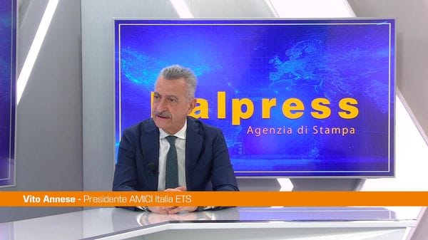 Immagine per italpress-rW8w