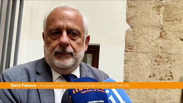 Immagine per italpress-pWZ1