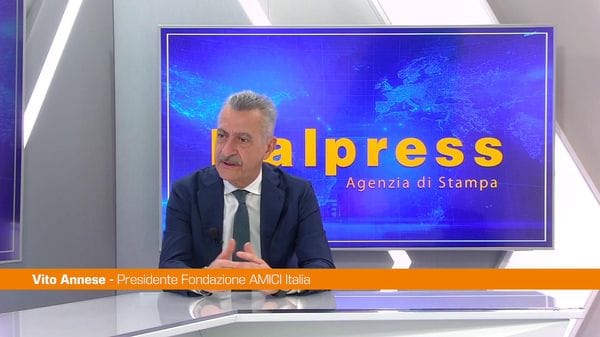 Immagine per italpress-ZEzv