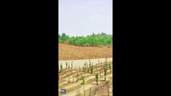 Immagine per italpress-Q8EM