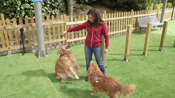 Immagine per italpress-MVzP