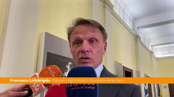 Immagine per italpress-rWmw