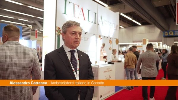 Immagine per italpress-w6rm