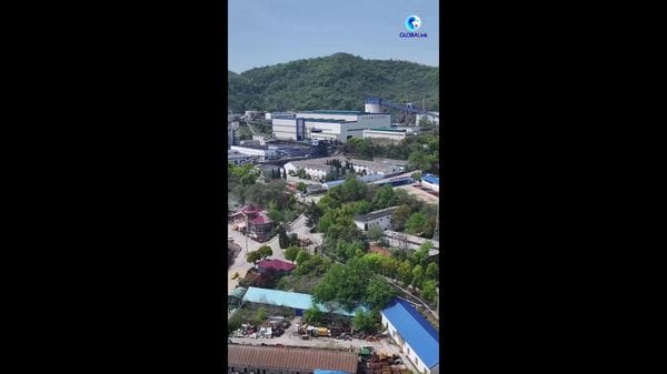 Immagine per italpress-l9w7