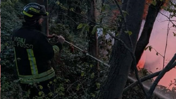 Incendio boschivo a Lovero, fiamme sotto controllo: in corso la bonifica