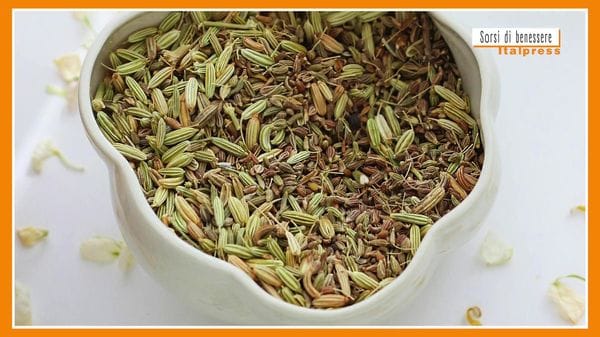 Immagine per italpress-4yj0