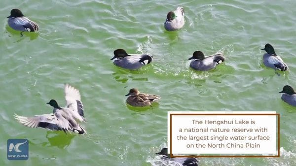 Immagine per italpress-qkBk