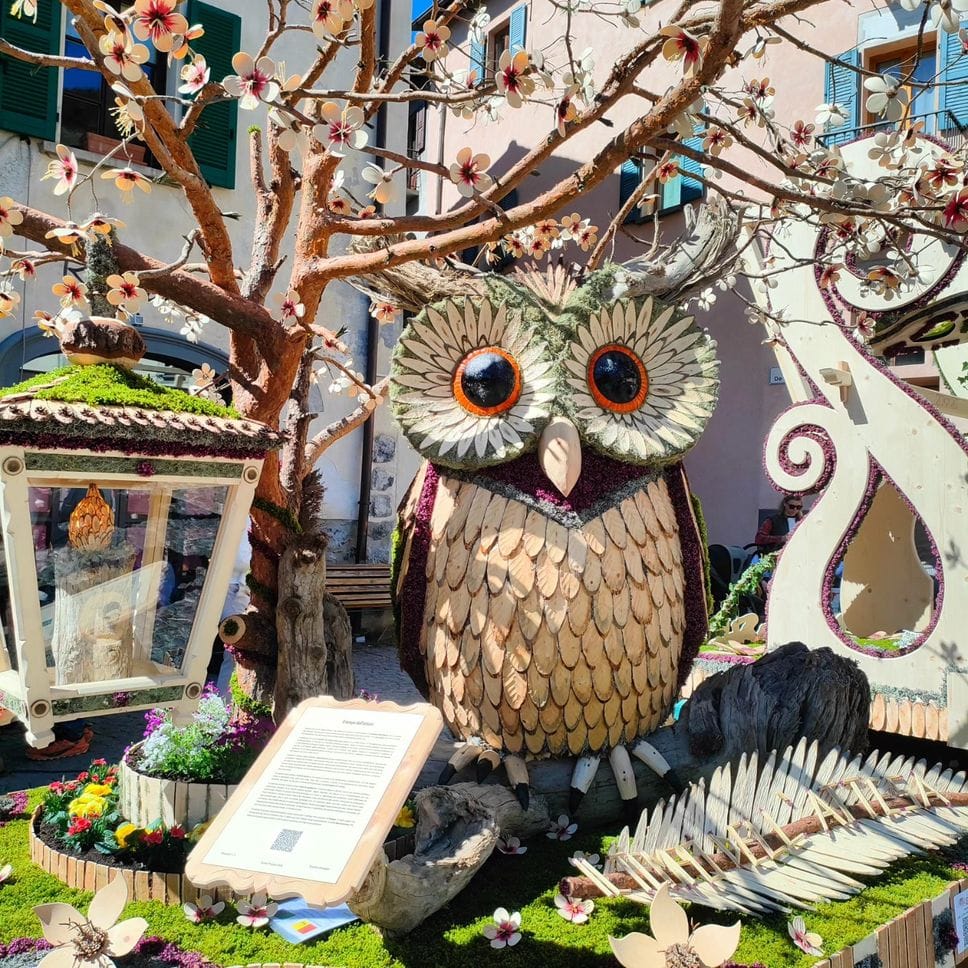 Pasqua a Bormio, ventidue Pasquali in gara: un rito secolare