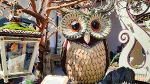 Pasqua a Bormio, ventidue Pasquali in gara: un rito secolare