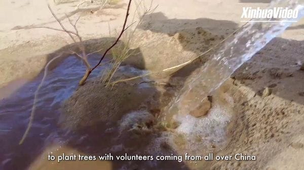 Immagine per italpress-J9Bv