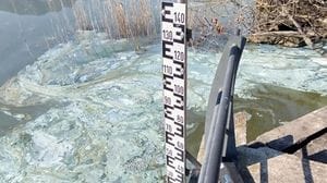 Mucillagine nel lago di Annone: nuovi accertamenti a Oggiono