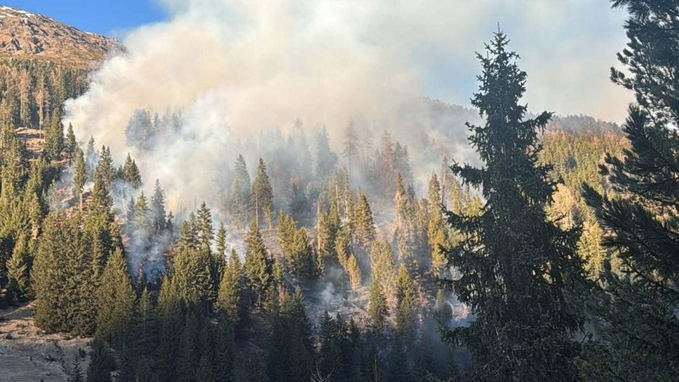Petardi nel bosco causano incendio a Santa Caterina: denunciati  giovani inglesi