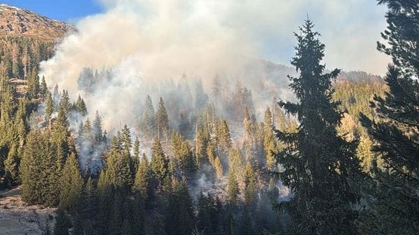 Petardi nel bosco causano incendio a Santa Caterina: denunciati  giovani inglesi