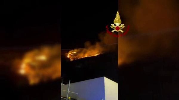 Immagine per italpress-vp3n