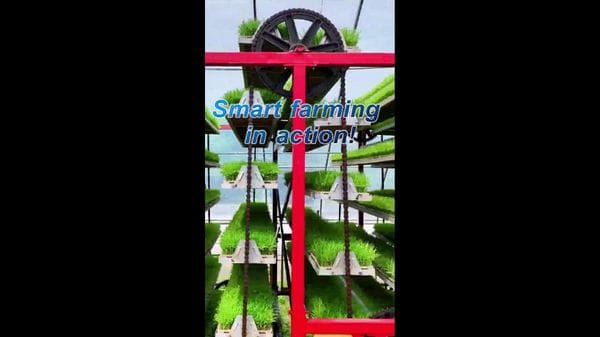 Immagine per italpress-5z5X