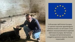 Immagine per ansa-d0b8e1bc-3121-4691-85b1-093a46013986