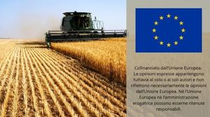 Immagine per ansa-8b5208e0-0b2c-4154-bcfb-282bfde413a6