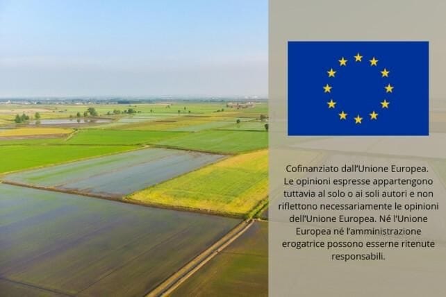 Immagine per ansa-ef684c5d-1027-4118-86c4-da059c2452da