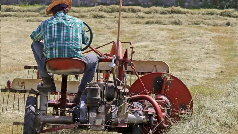 Agricoltura di montagna: finanziate altre nove domande in Valsassina