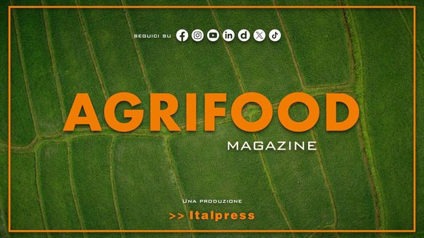 Immagine per italpress-OpXR