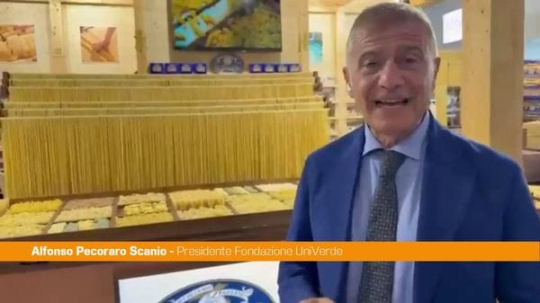 Immagine per italpress-WA1E