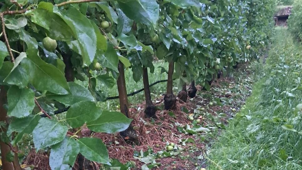 Maggio pazzerello: in arrivo ancora vento, piogge e grandine