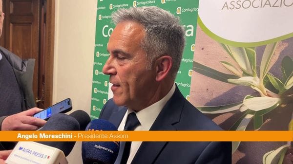 Immagine per italpress-qW90