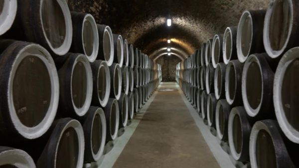 Immagine per italpress-ZEnR