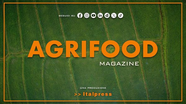 Immagine per italpress-WA0v