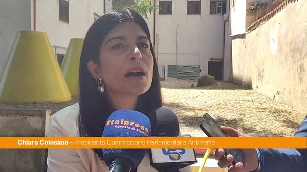 Immagine per italpress-Lmpw