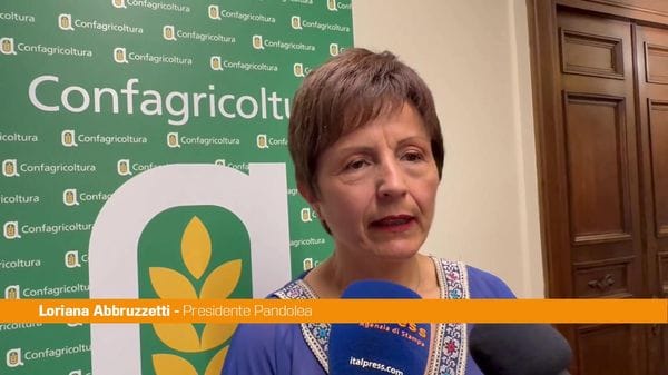 Immagine per italpress-rWr6