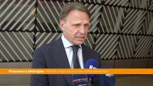 Immagine per italpress-rWx6
