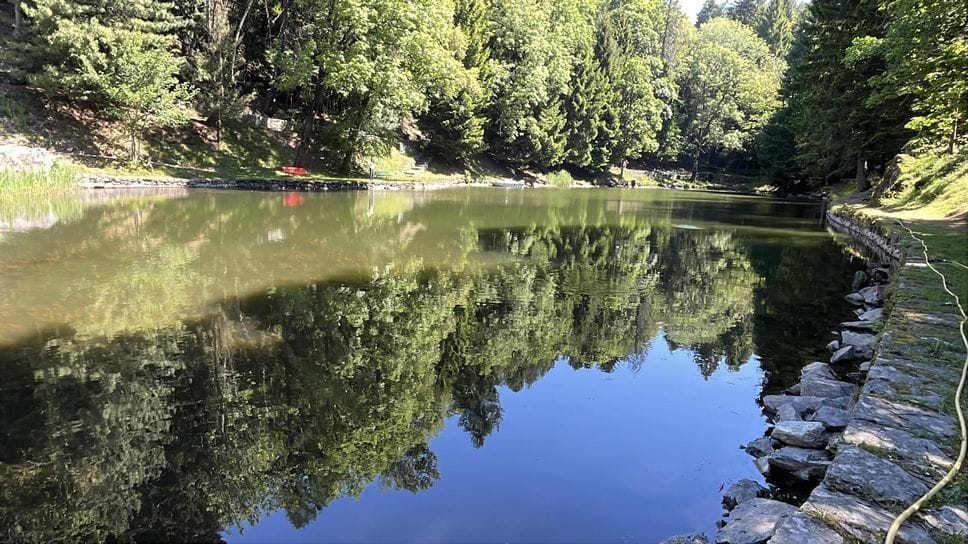 Pareva uno stagno: adesso è ritornato un bellissimo lago
