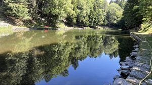 Pareva uno stagno: adesso è ritornato un bellissimo lago