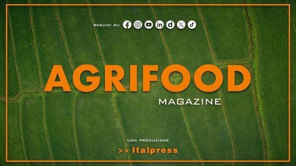 Immagine per italpress-yWgV