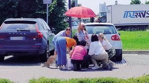 Va al supermercato e lo prendono a fiocinate