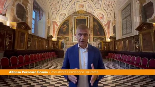 Immagine per italpress-Vzx1