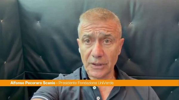 Immagine per italpress-VzG5