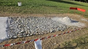Sondrio, campo da cricket abusivo nel parco: Fratelli d’Italia chiede provvedimenti