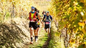Valtellina Wine Trail, pettorali sold out in meno di 5 giorni 