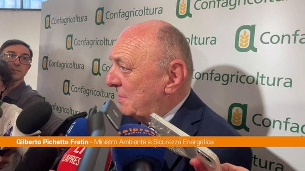 Immagine per italpress-mW83