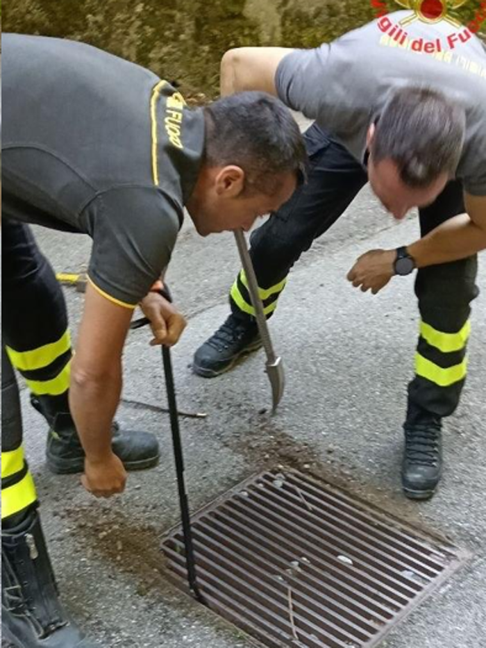 Barzio, i vigili del fuoco salvano un furetto intrappolato in un tombino