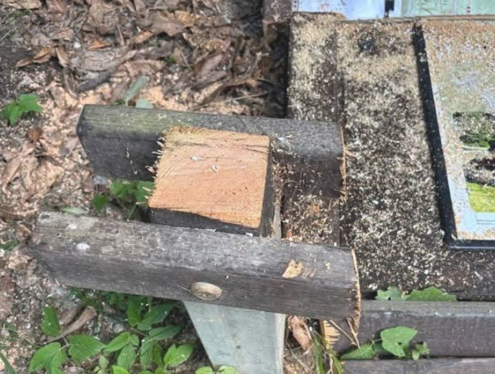 Ponte in Valtellina, vandali se la prendono con la segnaletica per gli escursionisti