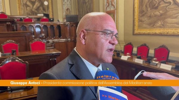 Immagine per italpress-BMoY