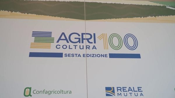 Immagine per italpress-rGkp