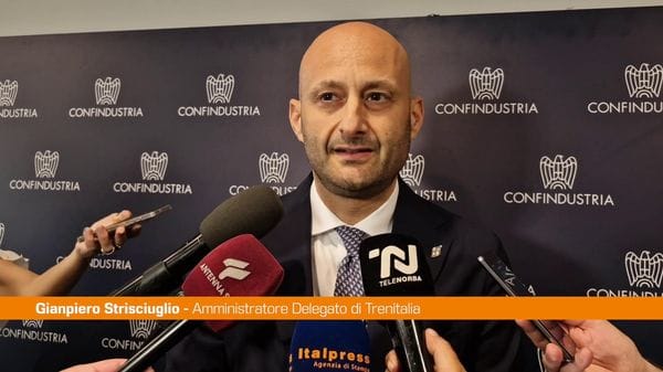 Immagine per italpress-DOqq
