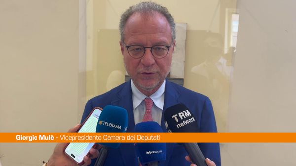 Immagine per italpress-pDZN