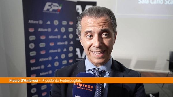 Immagine per italpress-kxr5