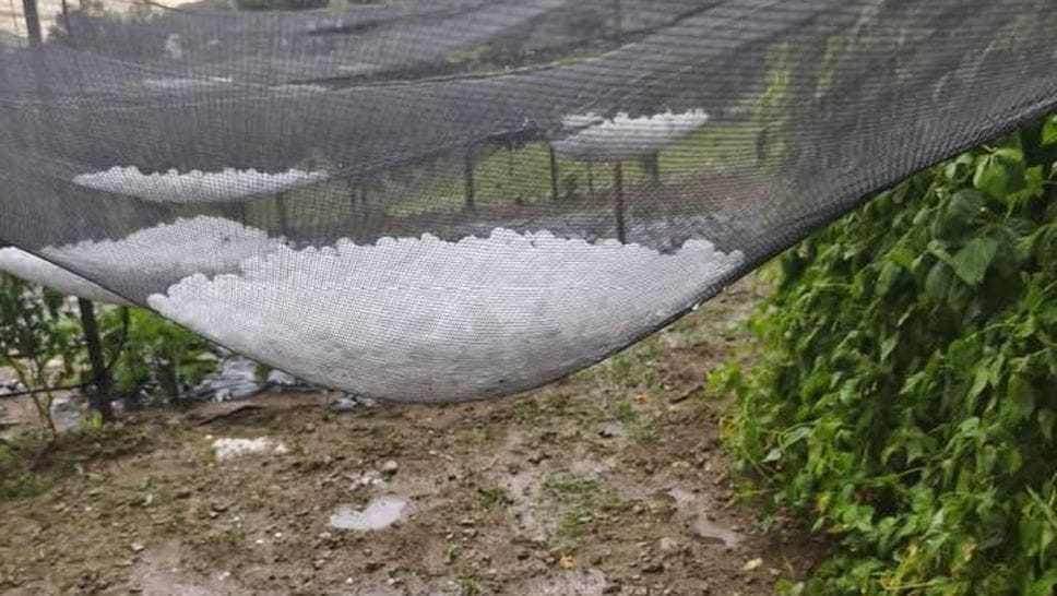 Sondrio, si contano i danni della grandine