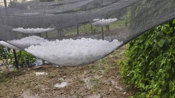 Sondrio, si contano i danni della grandine